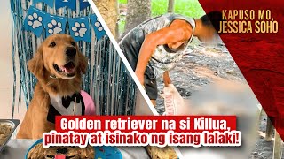 Golden retriever na si Killua, pinatay at isinako ng isang lalaki! | Kapuso Mo, Jessica Soho screenshot 5