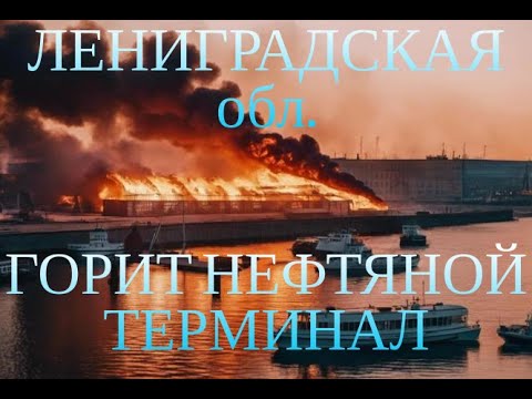 Ленинградская обл. ВЗРЫВЫ БПЛА | Усть-Луг ВЗРЫВЫ