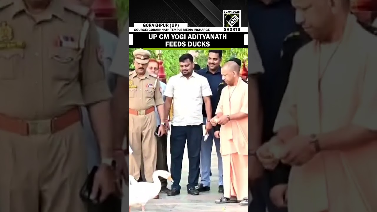 Uttar Pradesh Chief Minister Yogi Adityanath feeds ducks in Gorakhpur