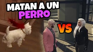 El Guardia De Seguridad De Raul Salinas Mata A Un Perro Y Luego Auron Vs Sara Marbella Vice