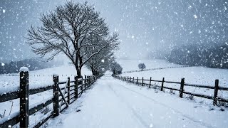 Peaceful Winter Snowfall Road ❄️ Relaxing Ambience Live | Sleep, Study, Meditation screenshot 3