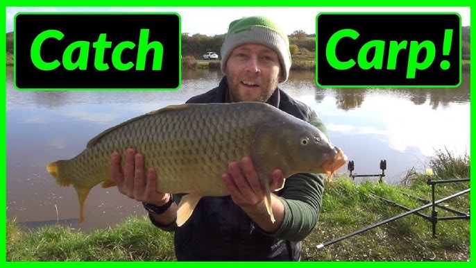 How to catch carp - Introduction to carp fishing gear -carp kit -Tackle Den  