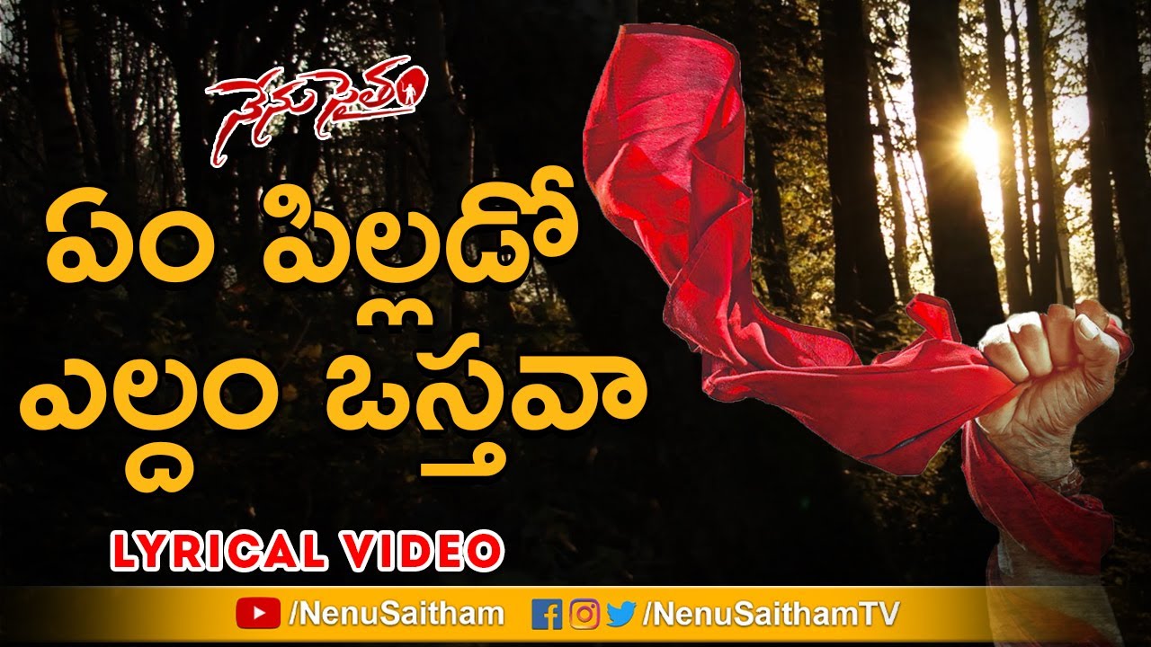 Em Pillado Eldam Vasthava Lyrical Song   Telugu Motivational Songs   NenuSaitham
