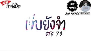 #เพลงกำลังฮิตในTik Tok( เจ็บยังจำ - sts 73 ) V.แดนซ์ๆ