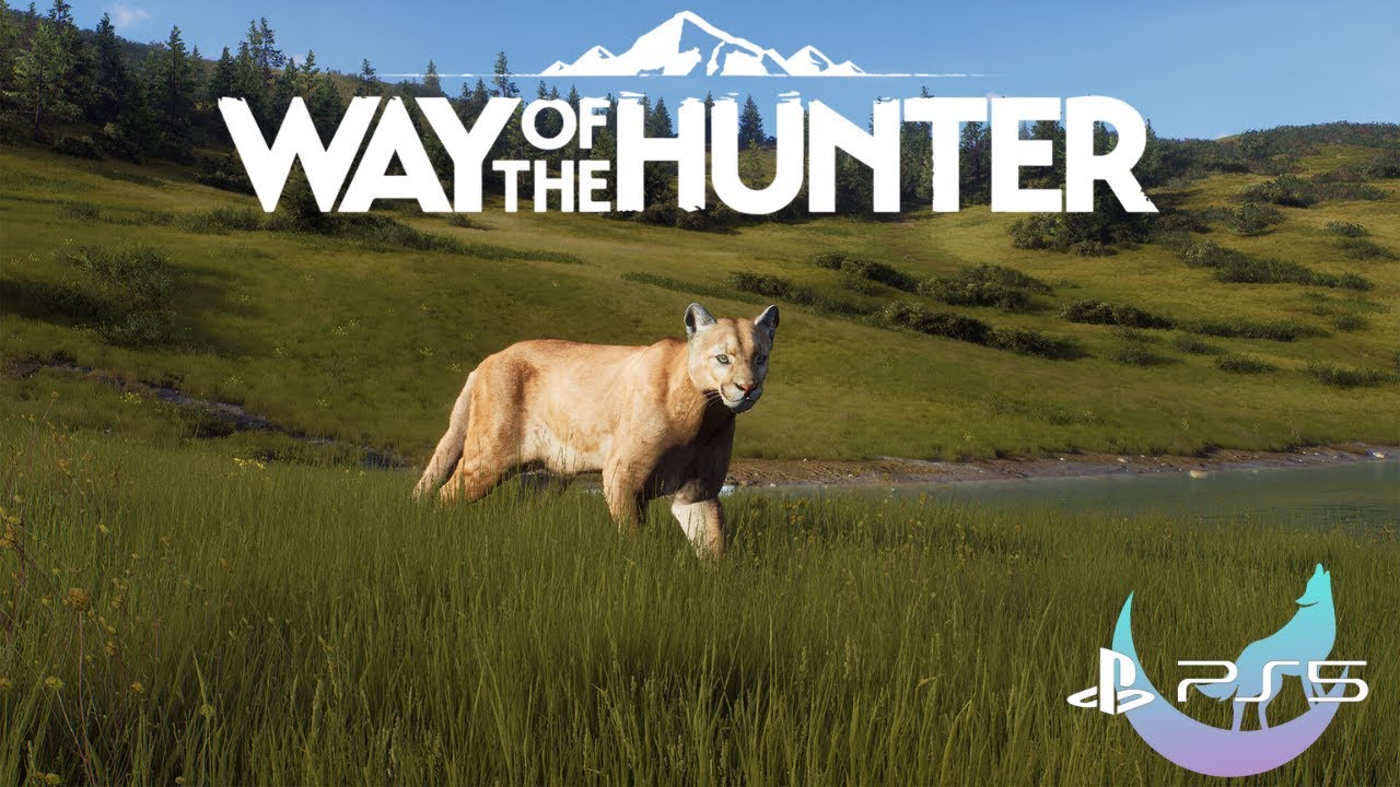 Первый взгляд на остров Элккрест | WOTH PS5