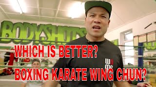 WHICH IS BETTER? BOXING vs KARATE vs WING CHUN?
