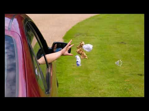 ჩვენი გარემო