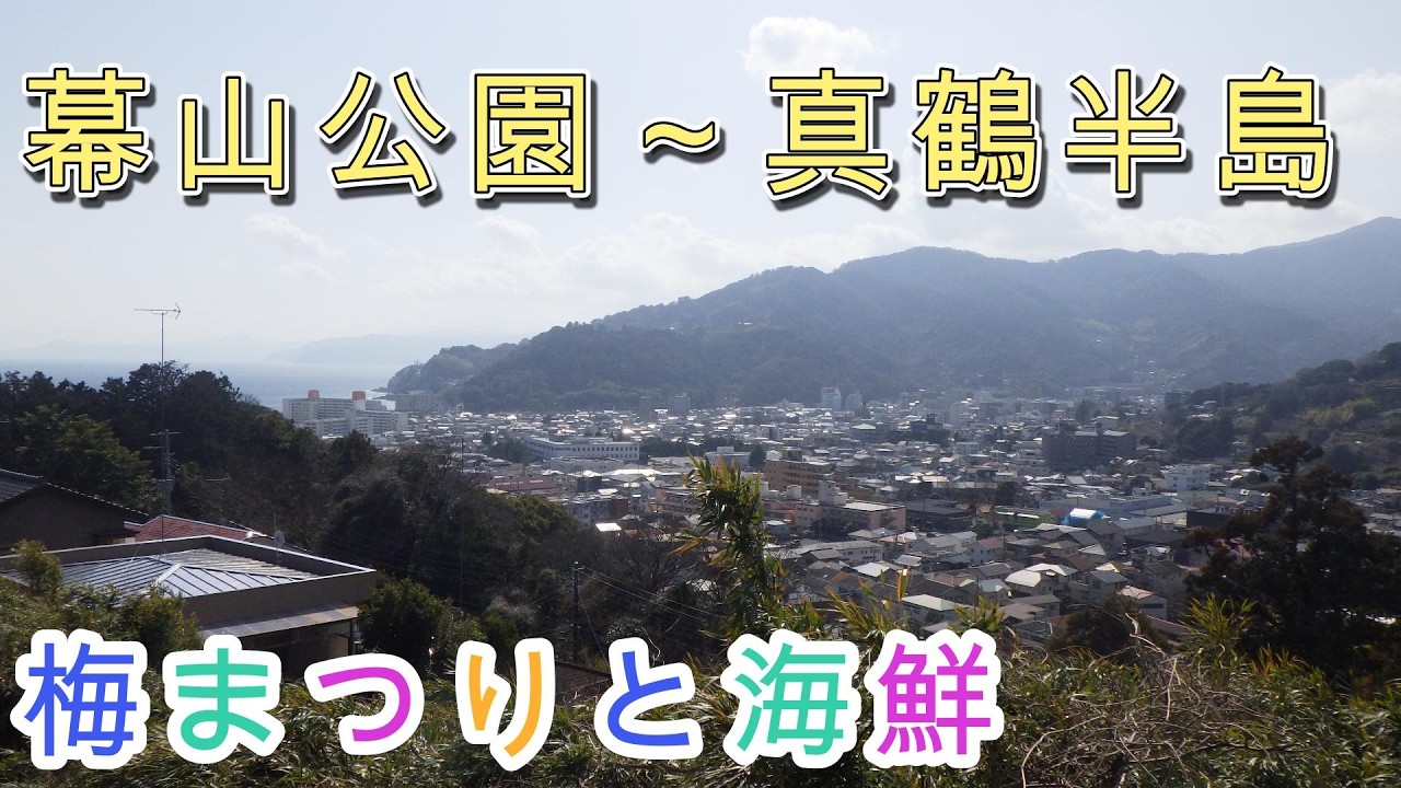 2026年2月23日　幕山公園～真鶴半島　満喫