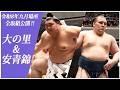【九月場所全取組】横綱 大の里(二所ノ関部屋)＆大関 安青錦(安治川部屋) ＜令和8年九月場所＞SUMO