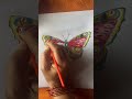 Draw a Butterfly  #drawing #art YouTube Shorts Trending