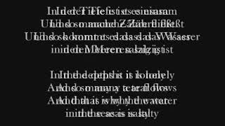 Rammstein  Haifisch Lyrics and translation1