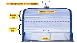 3 Open Suitcase