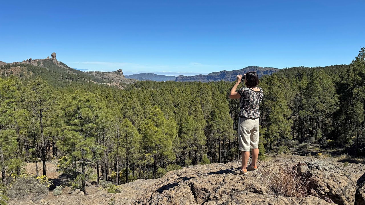 woman looking through binoculars over forest