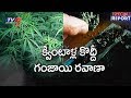 Special report on illegal transportation of cannabis; Suryapet in Nalgonda