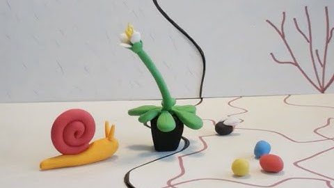 Plant microbe interactions from a different perspective