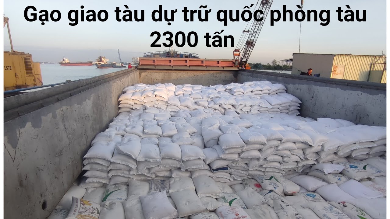 5 năm rồi mới đi gạo giao tàu #cre Trí Tính TV 