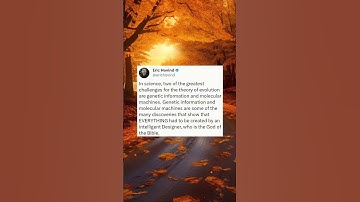 EVOLUTION DESTROYED!🤯❌️