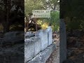 Lost Ancient Cities in the World: Rhamnous Ancient Greece (pt. 6/6)