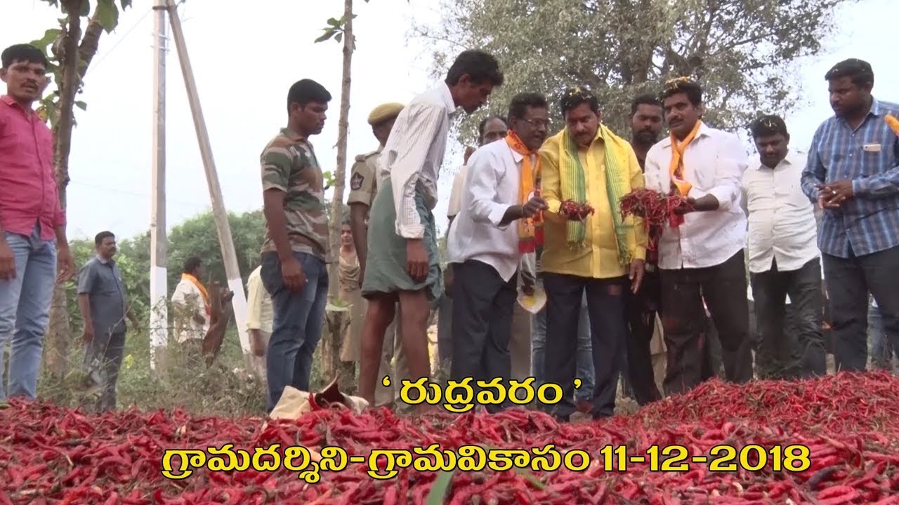 Rudaravaram Grama Darsini Grama Vikasam 11 12 2018