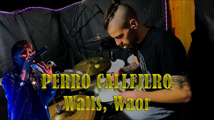 PERRO CALLEJERO -  Walls, Waor - Drum Cover