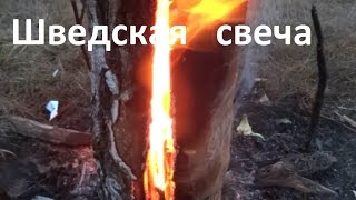 Бушкрафт.  Костер \