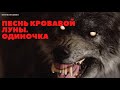 ПЕСНЬ КРОВАВОЙ ЛУНЫ. ОДИНОЧКА. ( Часть 12 ) ФИНАЛ