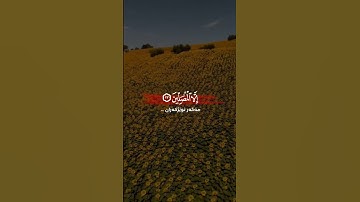 ان الإنسان خلق هلوعا | سورة المعارج | القارئ #شريف_مصطفى
