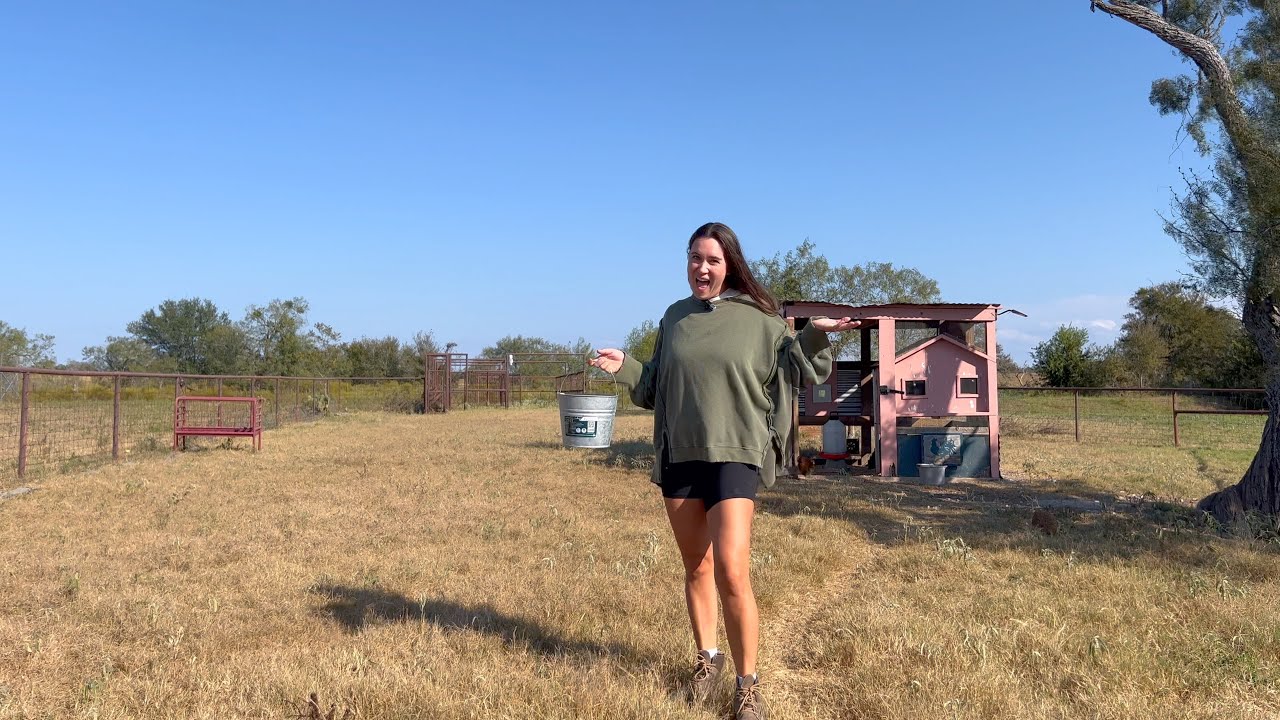 Morning Routine with 72 Animals! - YouTube