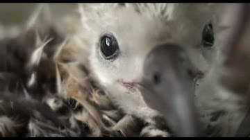 This video should be seen by the entire world