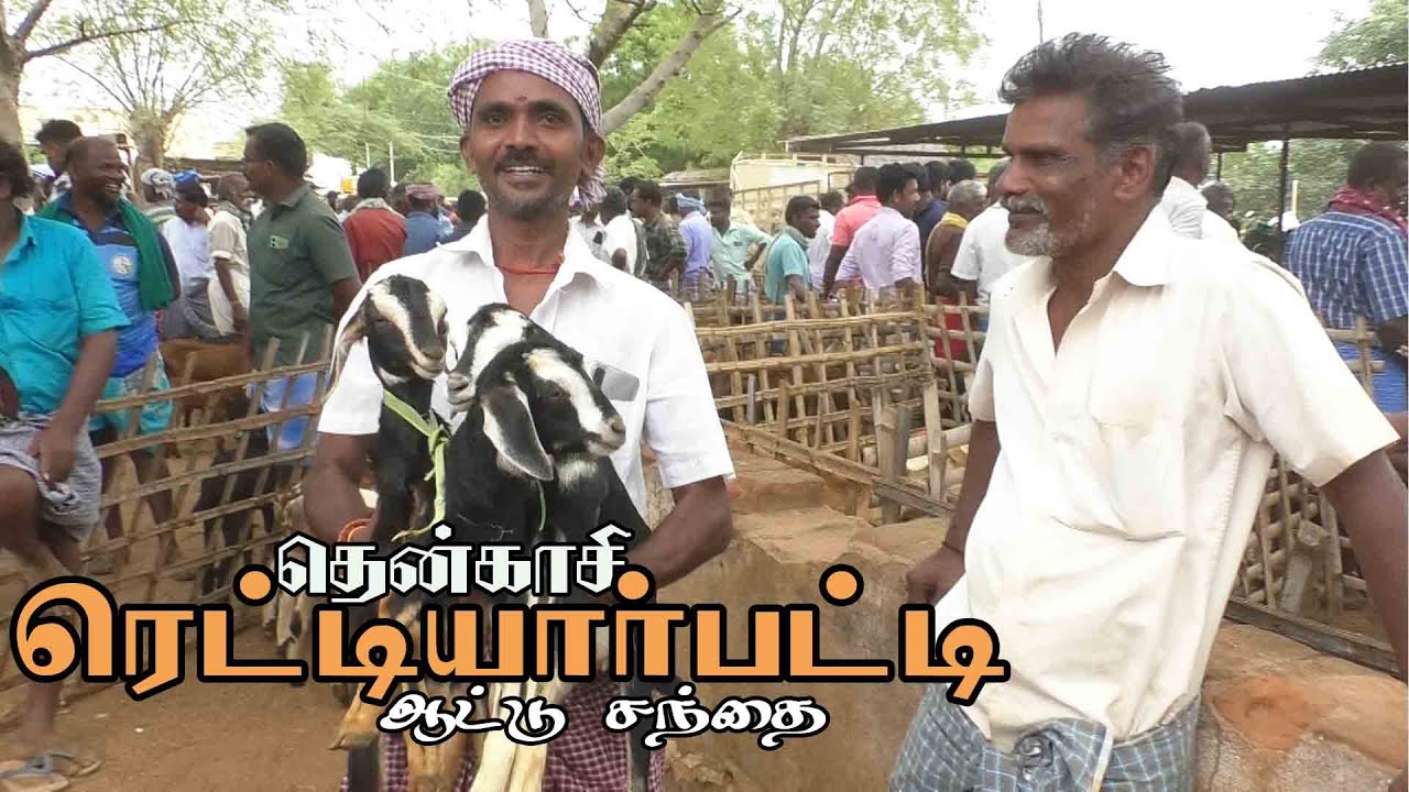 Reddiarpatti attu santhai | ரெட்டியார்பட்டி ஆட்டு சந்தை