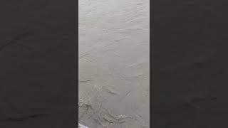 Barish Ke Mausam Me Nadi Me Pani Ki Raftar Badha