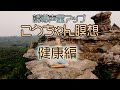 こうちゃん瞑想：ウェルビーイング、健康編