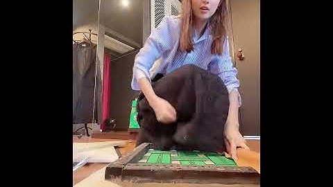 Kotlin 転職 エージェント 青色申告を税理士に相談できる