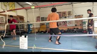 2023021202 toellgym.com