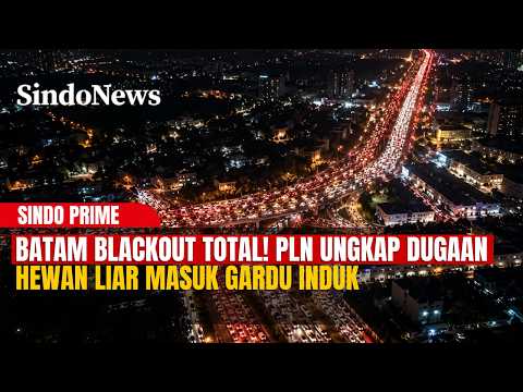BATAM BLACKOUT TOTAL! PLN Ungkap Dugaan Hewan Liar Masuk Gardu Induk | SINDO PRIME | 15/10