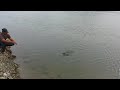 Fish hunting || Amazing fishing catching the rohu fish