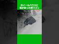 ホイールハウスに雪が詰った軽ワゴン　#アウトバーン #ロードサービス