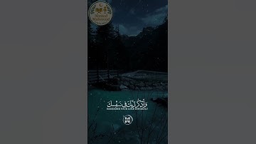 تلاوة مميزة جدا " وإذا قرئ القرءان فأستمعوا له وأنصتوا" #تلاوة_خاشعة #قران_كريم #الشيخ_ماهر_المعيقلي