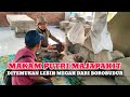 VIRAL !!! TELAH DITEMUKAN MAKAM PUTRI MAJAPAHIT DIDUGA LEBIH MEGAH DARI BOROBUDUR ?!