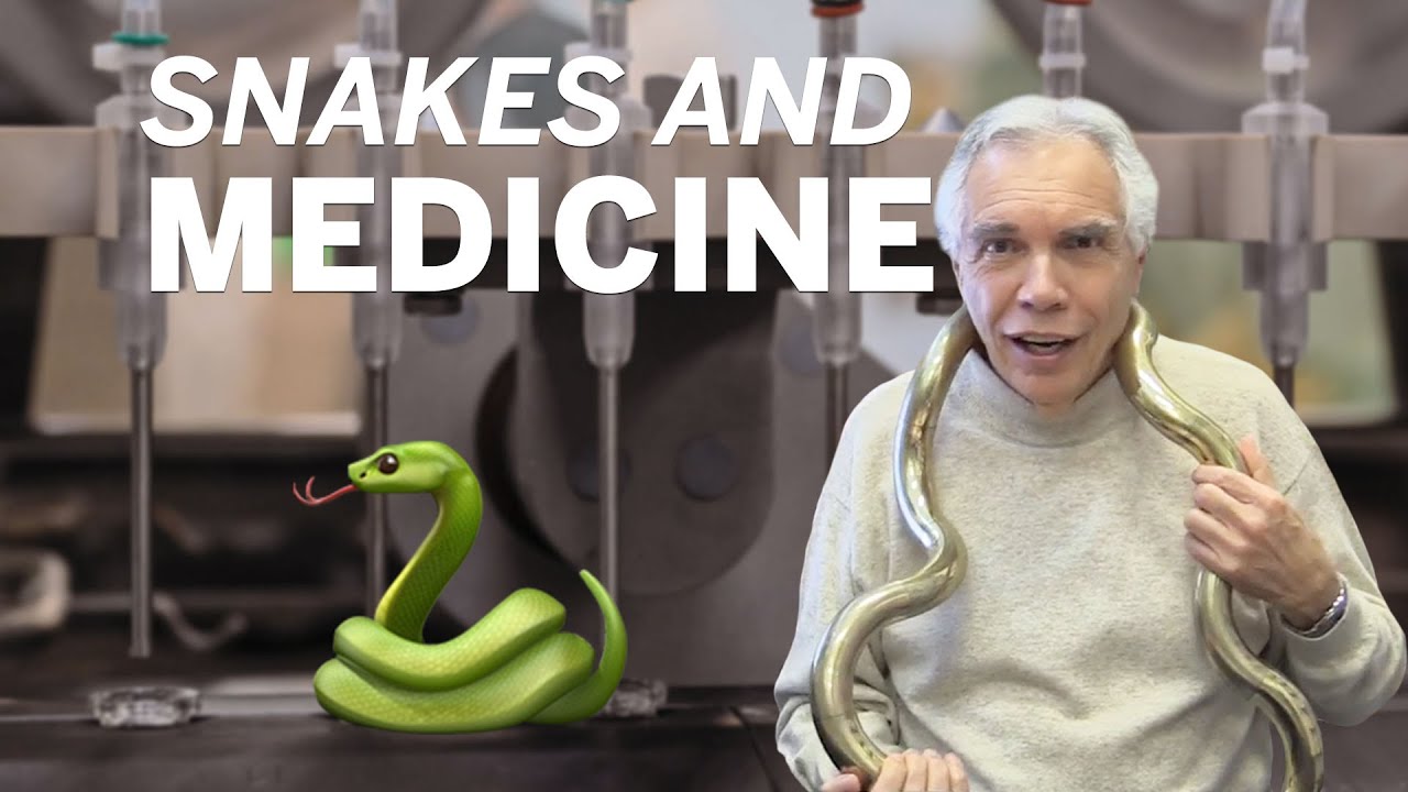 Dr Joe Schwarcz Snakes And Medicine YouTube