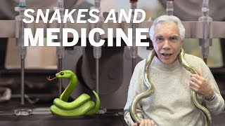 Dr. Joe Schwarcz: Snakes and medicine