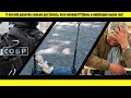 Раскол в силовых структурах! ОМОН и СОБР в конфликте! Главное за 31.01 и 1.02