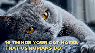 10 things your cat hates that us humans do  | #AnimalsandPets