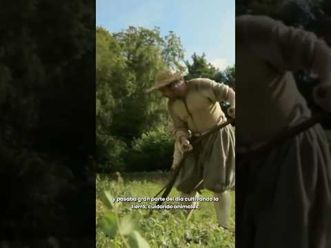 CAMPESINO MEDIEVAL vs OFICINISTA MODERNO