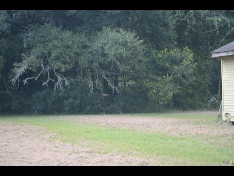 601 Bourg St, Donaldsonville, LA home video tour