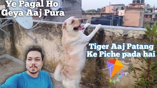 Tiger Patang Ke Pichhe Pada Hai Pagal Ho Gaya Aaj Tiger Bishal Roy Plus