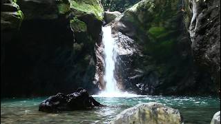 Heavy Thoughts Before Bed 🕊️ This Peaceful River Sound Brings Inner Peace And Sleep