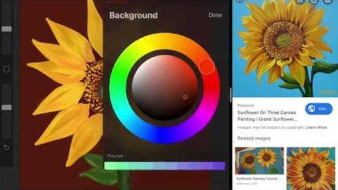 Sunflower Procreate Tutorial