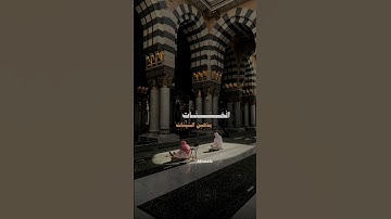 راحة نفسية بصوت القارئ رعد الكردي 🥺🤍     #رعد_الكردي #قرآن #quran