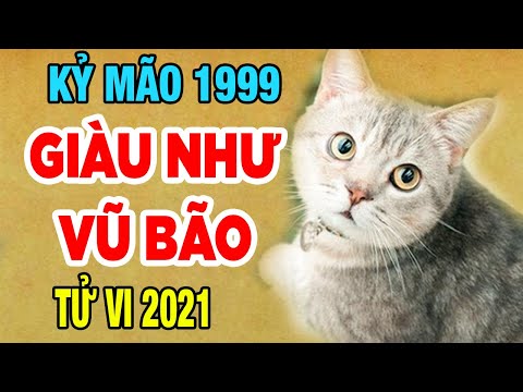Video Tử Vi Tuổi KỶ MÃO-1999, Năm 2021 Trúng số liên tiếp... - youtube